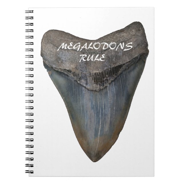 Carnet Dent de requin de Megalodon (Devant)