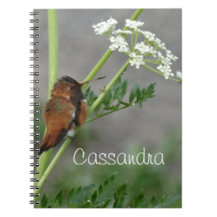 Carnet Dentelle et oiseau d'Ann