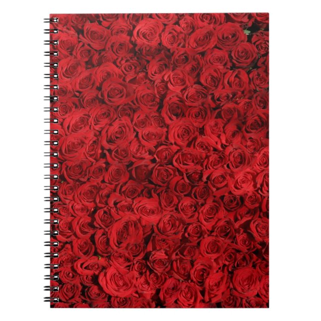 Carnet Des centaines de belles roses rouges (Devant)