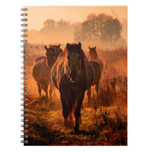 Carnet des chevaux koniks sauvages qui sont arrivés tout 