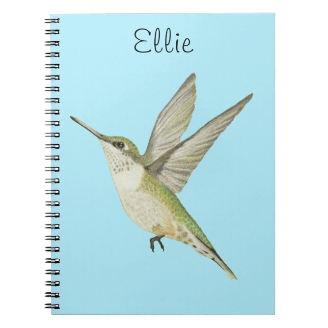 Carnet des colibris (Devant)