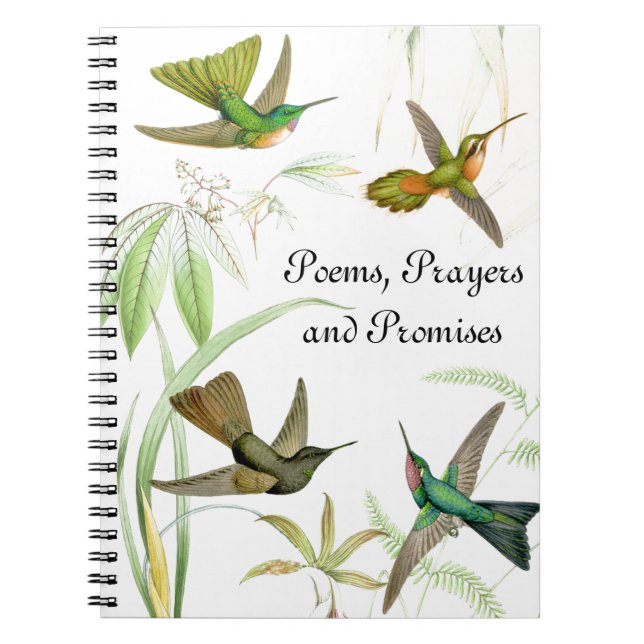 Carnet des colibris de Goulds (Devant)