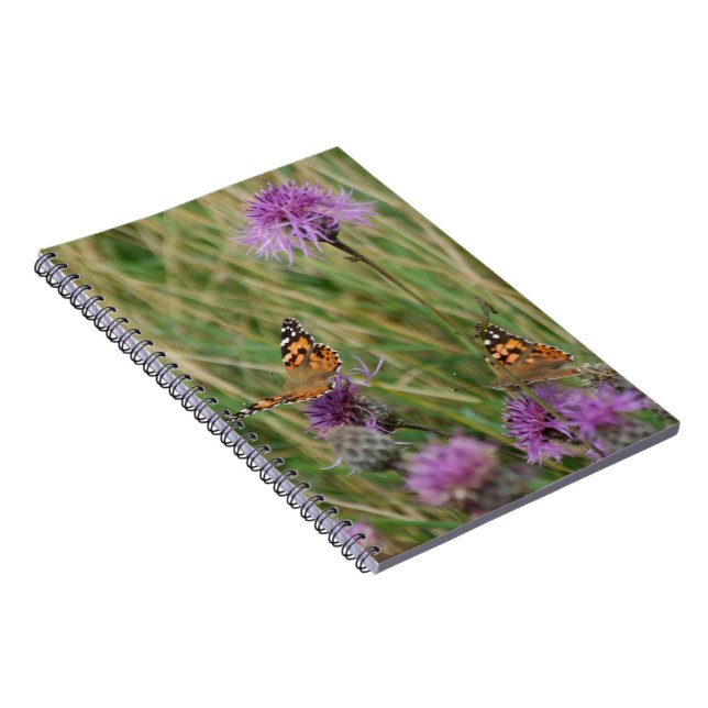 Carnet des papillons (Côté Droit)