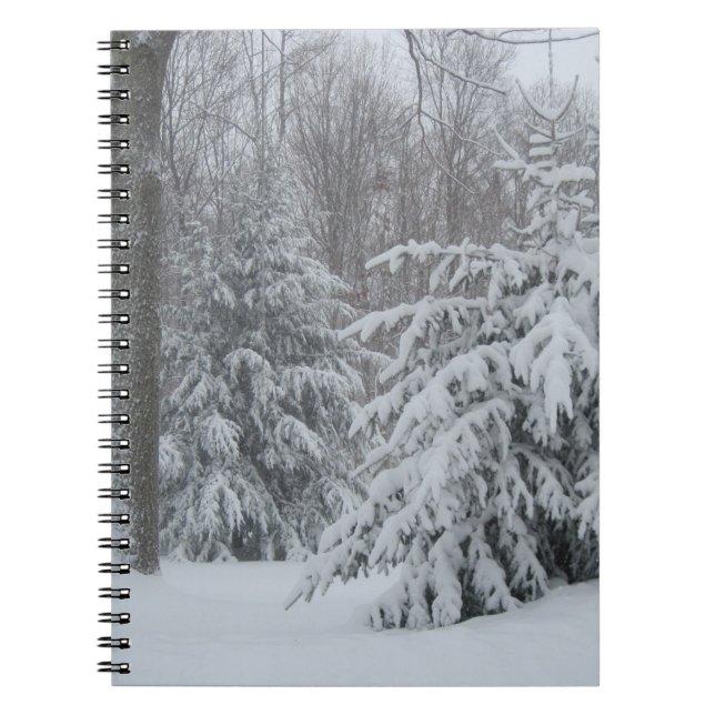 Carnet des pins d'hiver (Devant)