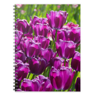 Carnet Des tulipes lilas lumineuses par jour ensoleillé