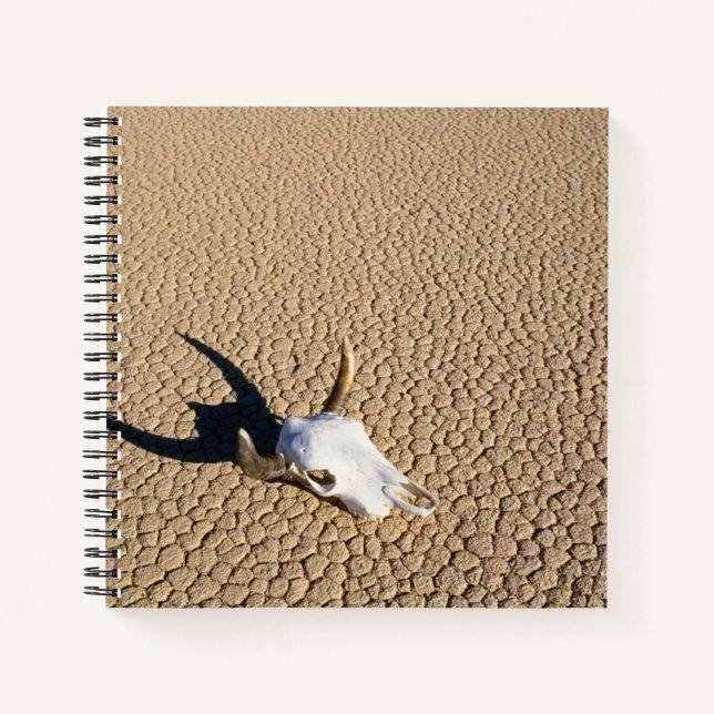 Carnet Deserts | Cow Skull on the Desert Ground (Devant)