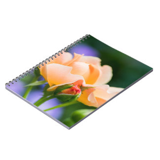 Carnet désir