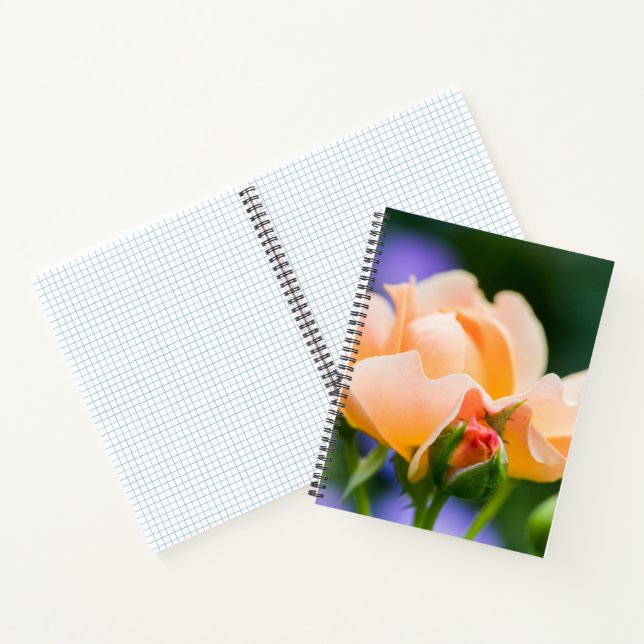 Carnet désir (Intérieur)