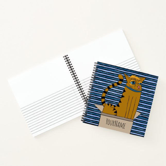 Carnet Dessin animé de chat dans une boîte en carton (Intérieur)