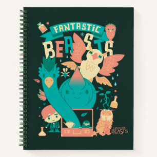Carnet Dessin Bêtes Fantastiques Avec Newt Scamander