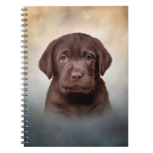 Carnet Dessin de chiot Labrador