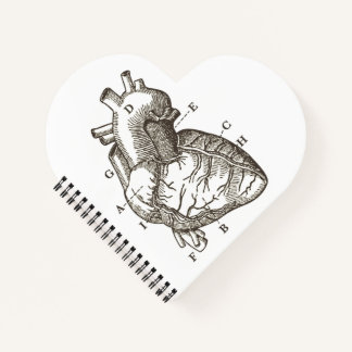 Carnet Dessin de cœur anatomique vintage en forme de cœur