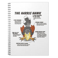 Dessin de Harris Hawk