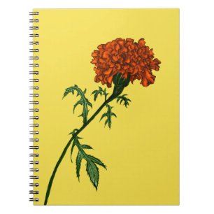 Carnet Dessin d'encre de Fleur Marigold