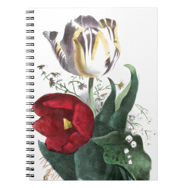 Carnet Dessin vintage : Tulipes (Devant)