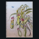 Carnet Dessins Plantes de Nepenthes, Anniversaire<br><div class="desc">Nepenthes mirabilis (Bas). Famille Druce Nepenthaceae Somerset Queensland,  Idées Cadeaux Pour Amis,  Style - Dessins Floraux</div>
