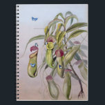 Carnet Dessins Plantes de Nepenthes, Anniversaire<br><div class="desc">Nepenthes mirabilis (Bas). Famille Druce Nepenthaceae Somerset Queensland,  Idées Cadeaux Pour Amis,  Style - Dessins Floraux</div>