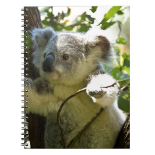 Carnet Destin de nature d'amour de paix de safari d'Aussi