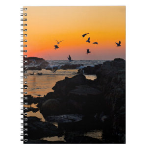 Carnet Destin tropical de paume de coucher du soleil de