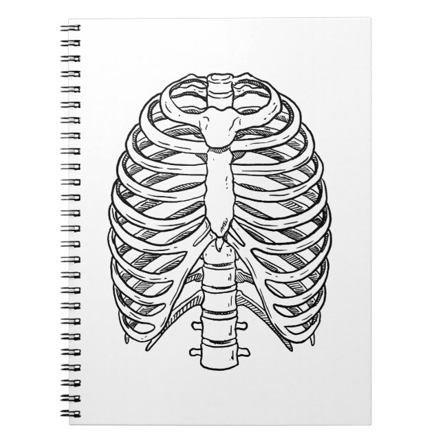 Carnet Detailed Rib Cage Anatomy Line Art (Devant)