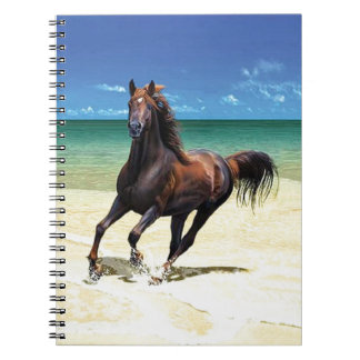 Carnet d'étalon de plage