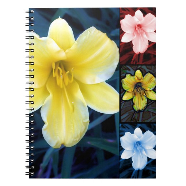 Carnet d'été Lilly (Devant)