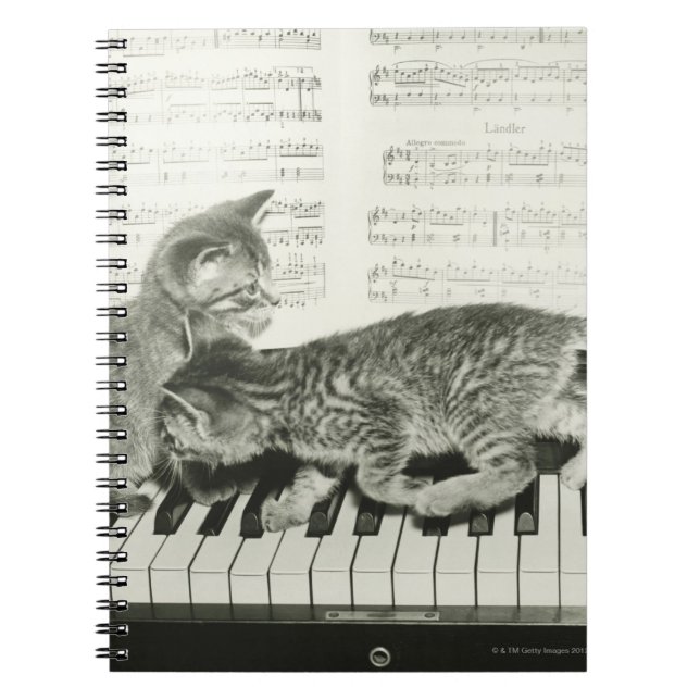 Carnet Deux chaton jouant sur le clavier du piano, (B&W) (Devant)