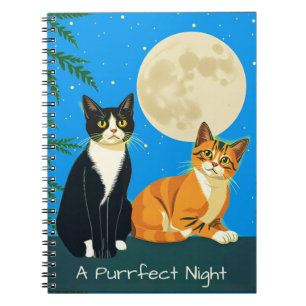 Carnet Deux chats sous la Pleine lune