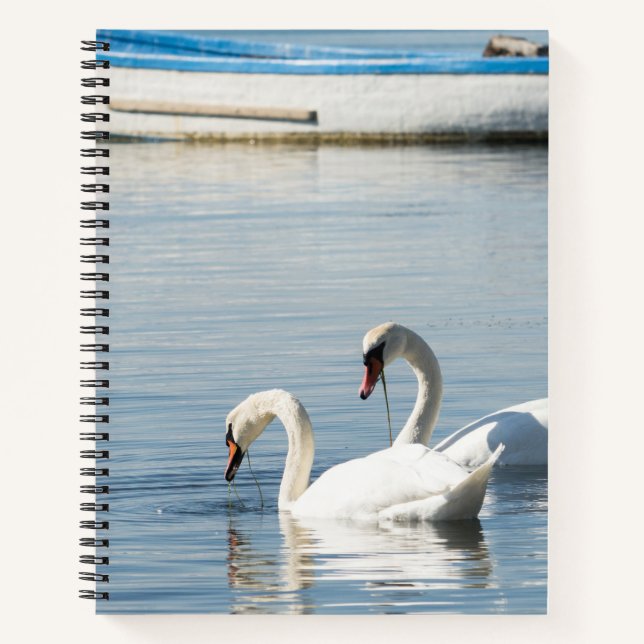 Carnet Deux cygnes (Devant)
