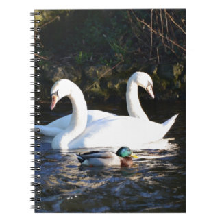 Carnet Deux cygnes et un canard