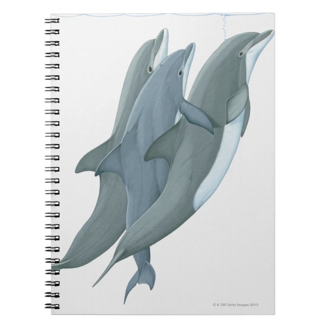 Carnet Deux dauphins en voie de disparition (Devant)