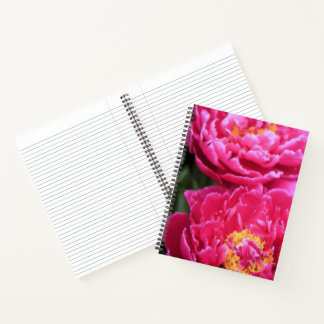 Carnet Deux Fuchsia Peony Fleurit Peinture