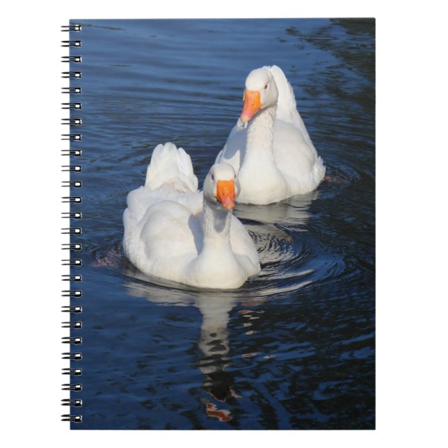 Carnet Deux oies d'Emden II (Devant)