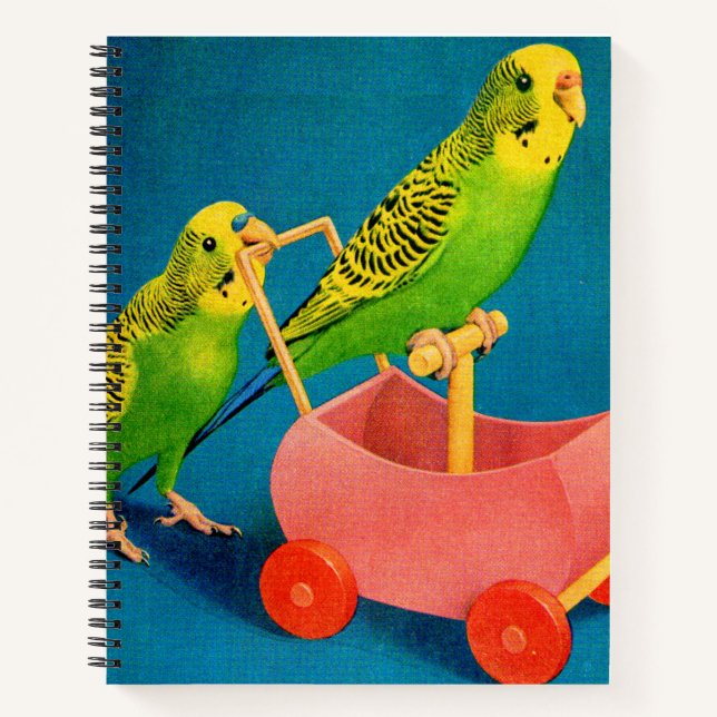 Carnet deux perroquets (Devant)