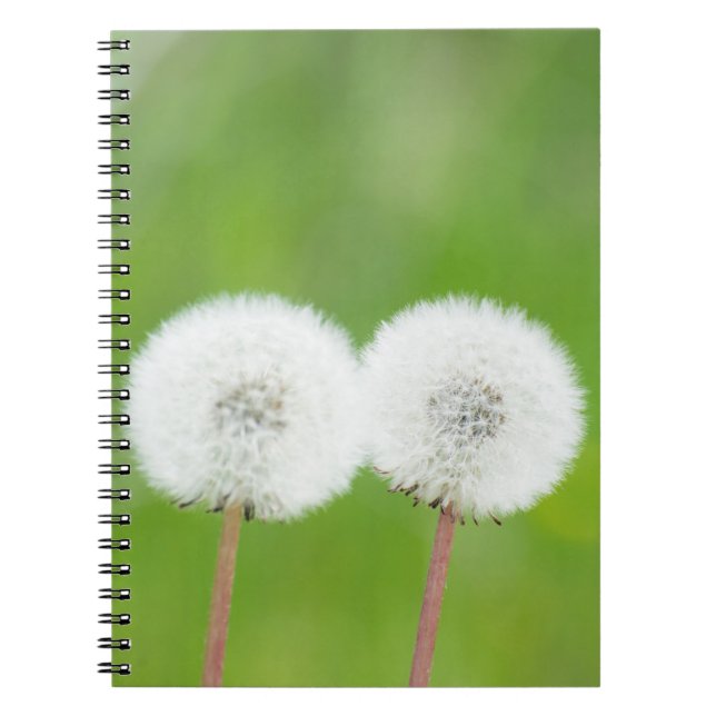 Carnet Deux pissenions (Devant)