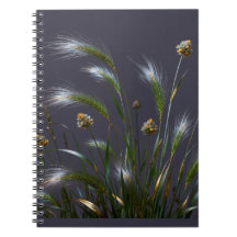 Carnet d'herbes dorées
