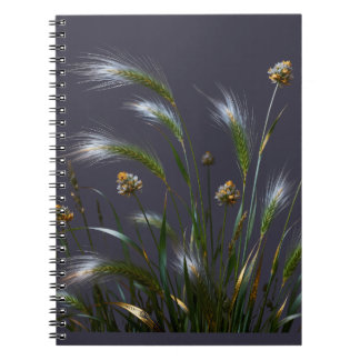 Carnet d'herbes dorées