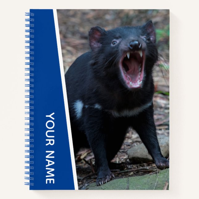 Carnet Diable de Tasmanie, Tasmanie, Australie, Bleu (Devant)