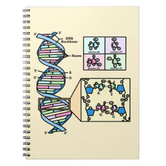 Carnet Diagramme d'ADN