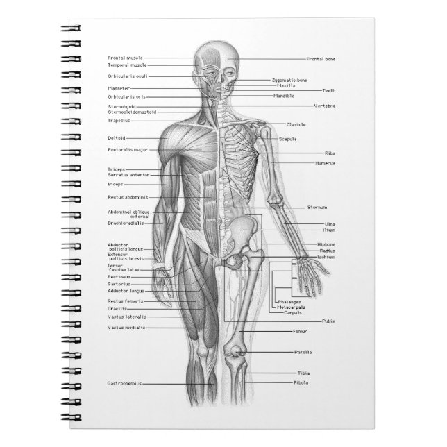 Carnet Diagramme humain d'anatomie (Devant)