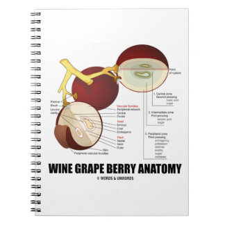 Carnet Diagramme scientifique de l'anatomie du raisin de 