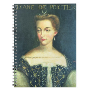 Carnet Diane De Poitiers (huile sur la toile)