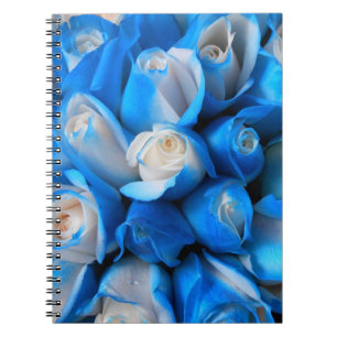 Carnet Diemudis