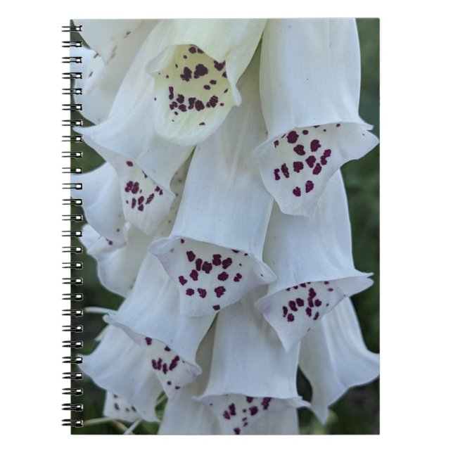 Carnet Digitale à taches roses Floral (Devant)