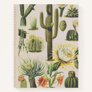 Carnet d'illustration de cactus botaniques vintage