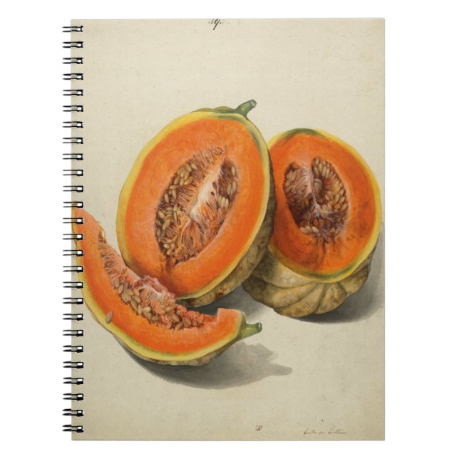 Carnet d'illustrations de melon de cantaloupe coup (Devant)