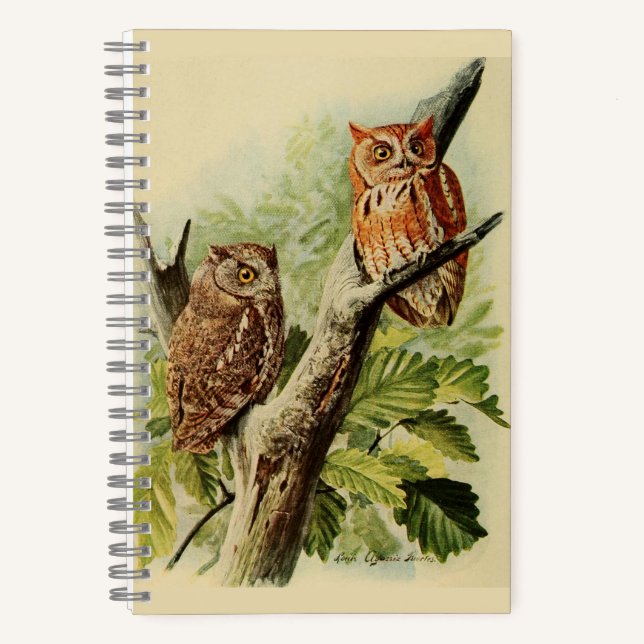 Carnet d'impression Owl (Recto)