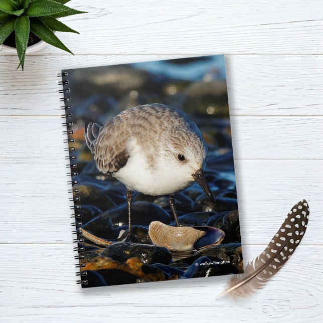 Carnet Dînes de Sanderling mignon sur la palourde à la pl (Cute Sanderling Dines on Clam Journal Cover Photo)