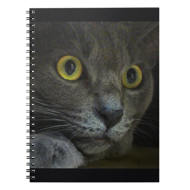 Carnet d'intensité (Devant)