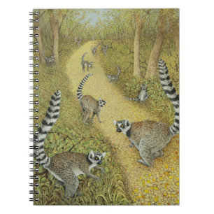 Carnet Dire des contes